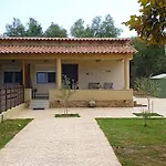 Fish Eye نيكيتي