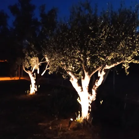 度假居 Fish Eye 尼基季