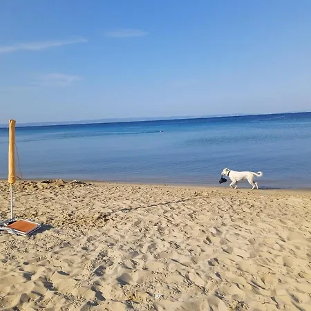Fish Eye Holiday home Nikiti (Sithonia)