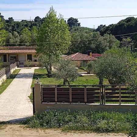 Fish Eye * 尼基季