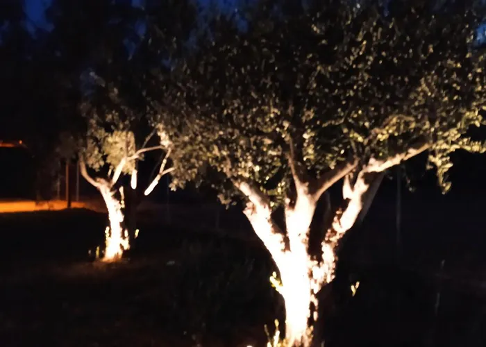 Nyaraló Fish Eye Nikíti