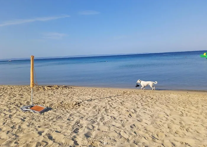 Fish Eye Nyaraló Nikíti